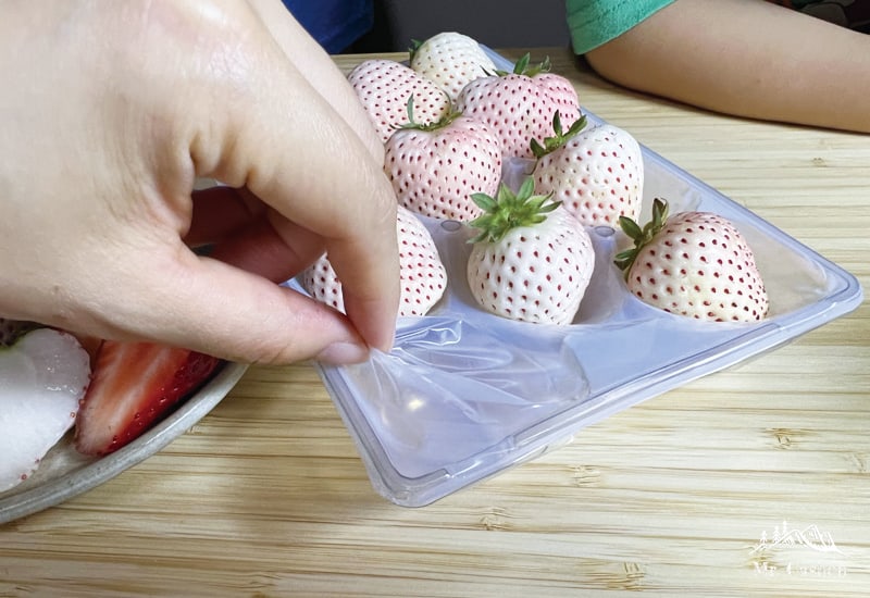 天使之實白草莓的懸浮式搖籃盒