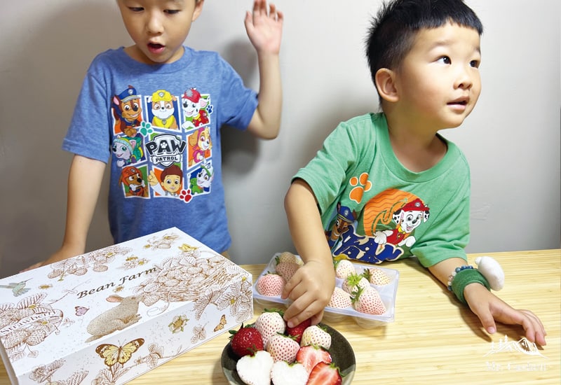 孩子們吃雙色草莓很快樂