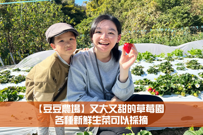 【豆豆農場】又大又甜的草莓園，各種新鮮生菜可以採摘